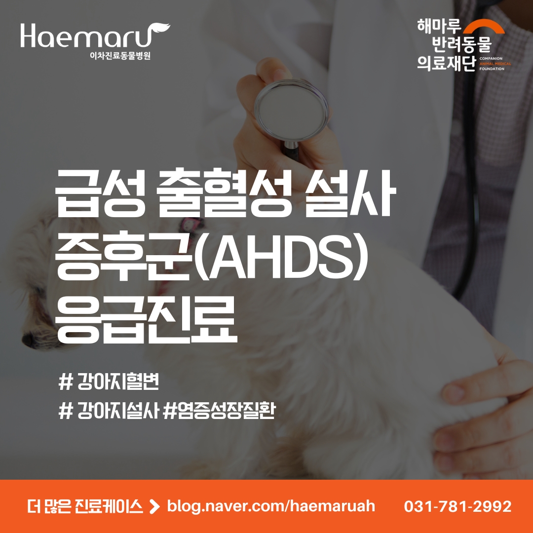 구토, 혈설사, 식욕부진을 일으키는 급성 출혈성 설사 증후군(AHDS) 썸네일