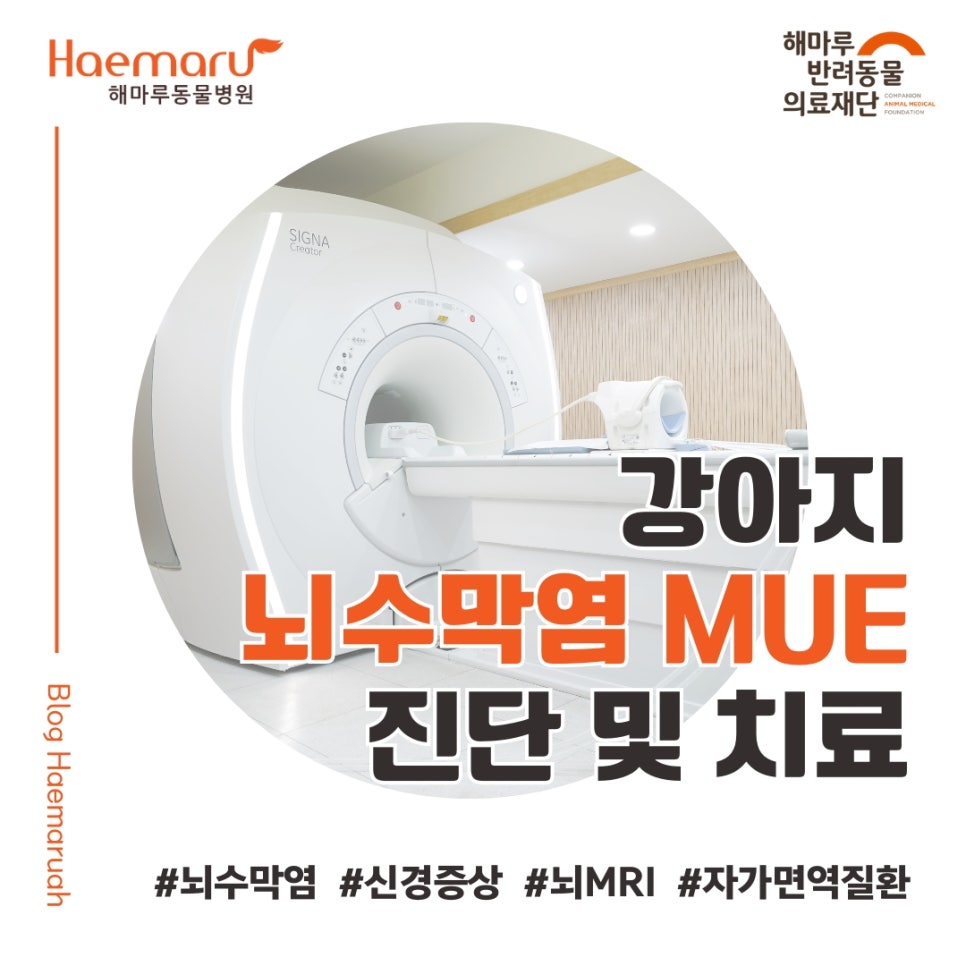 진료케이스 이미지