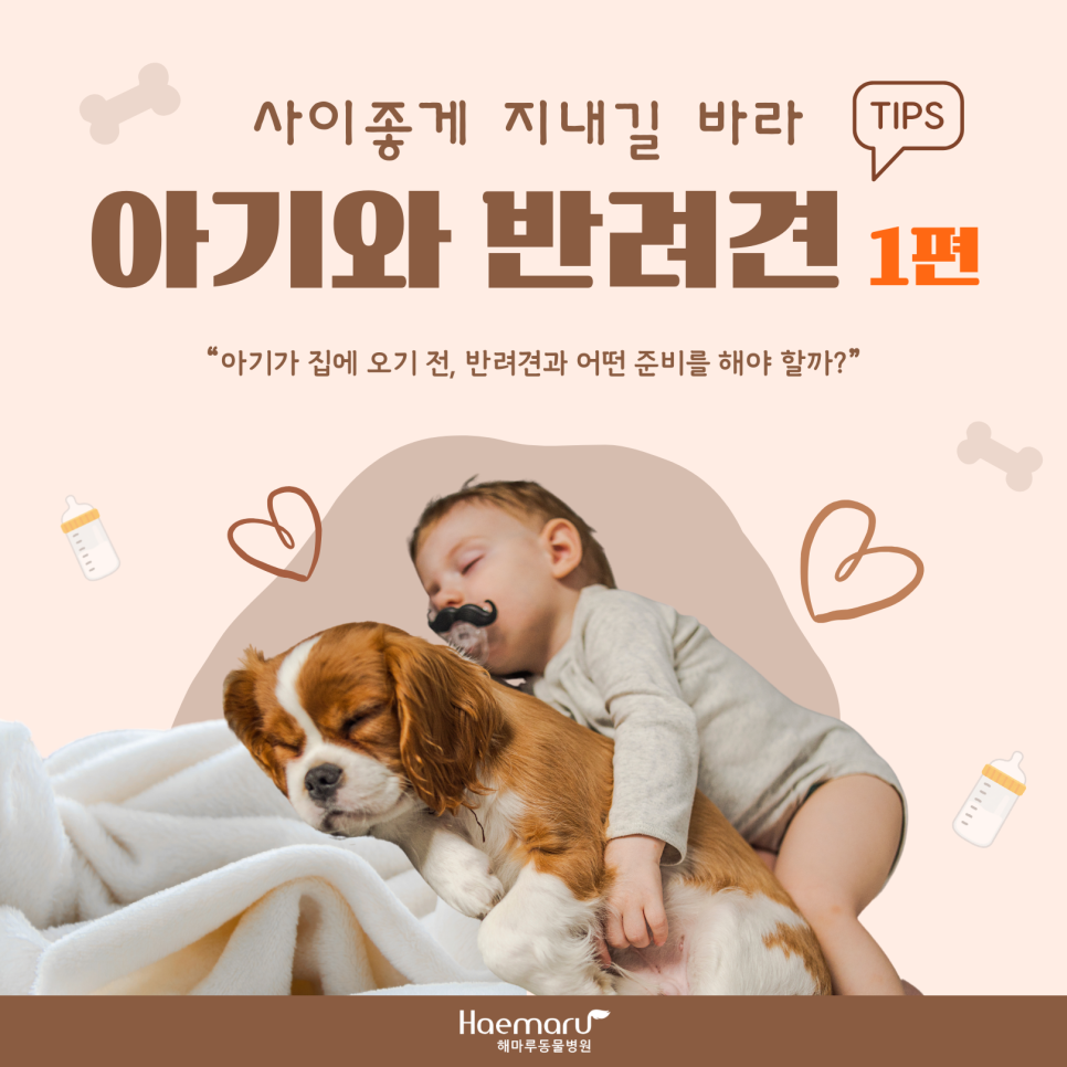 진료케이스 이미지