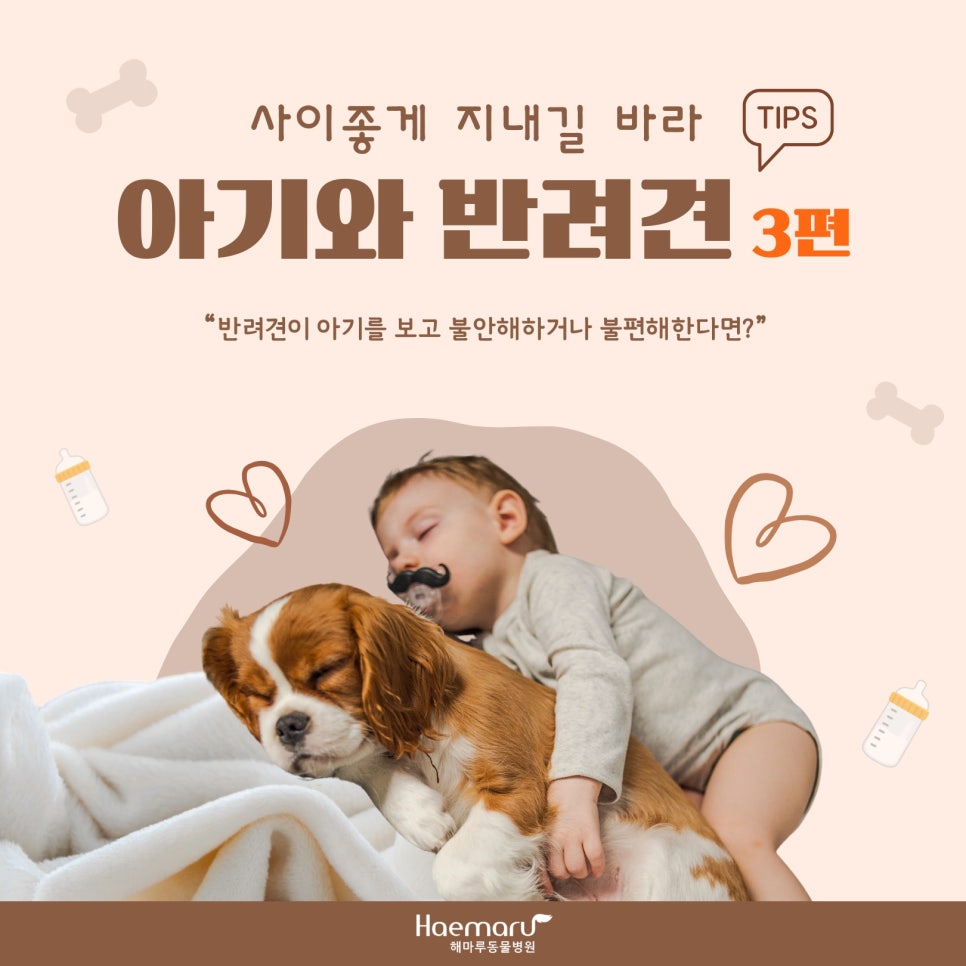 진료케이스 이미지