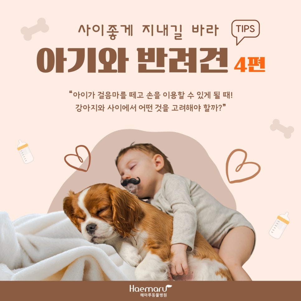 진료케이스 이미지