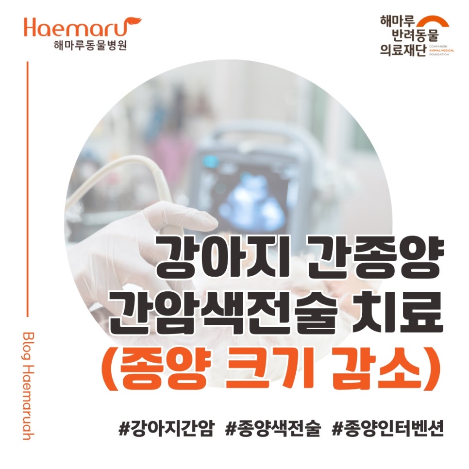 진료케이스 이미지