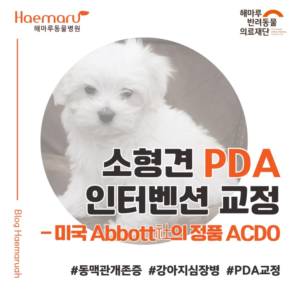 진료케이스 이미지