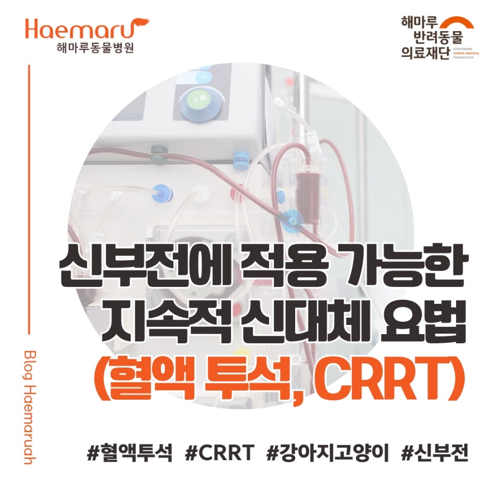 진료케이스 이미지