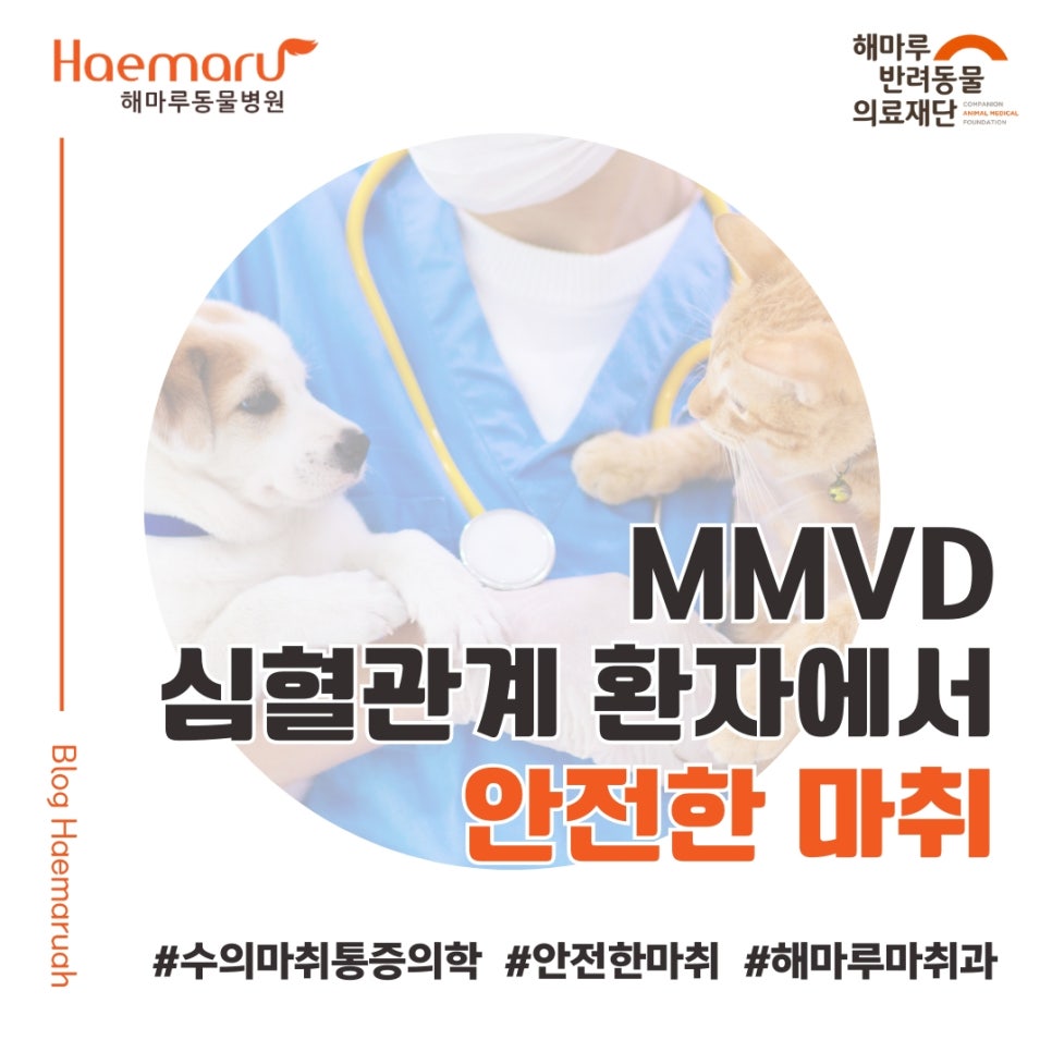 진료케이스 이미지