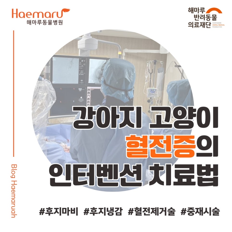 진료케이스 이미지