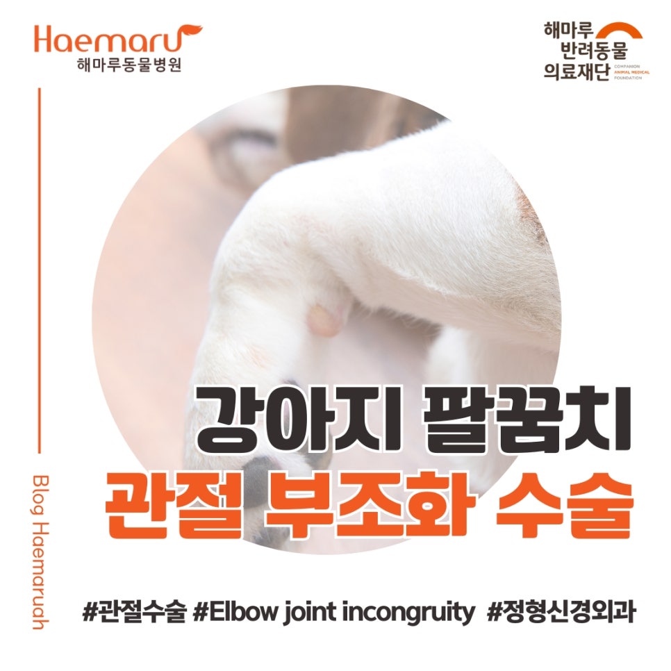 진료케이스 이미지