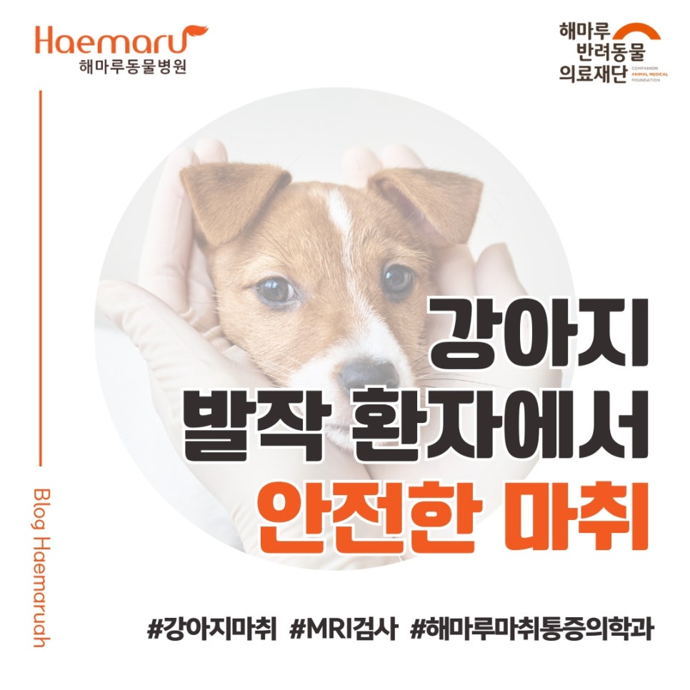 진료케이스 이미지