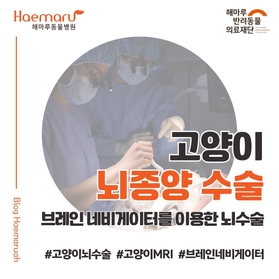 진료케이스 이미지