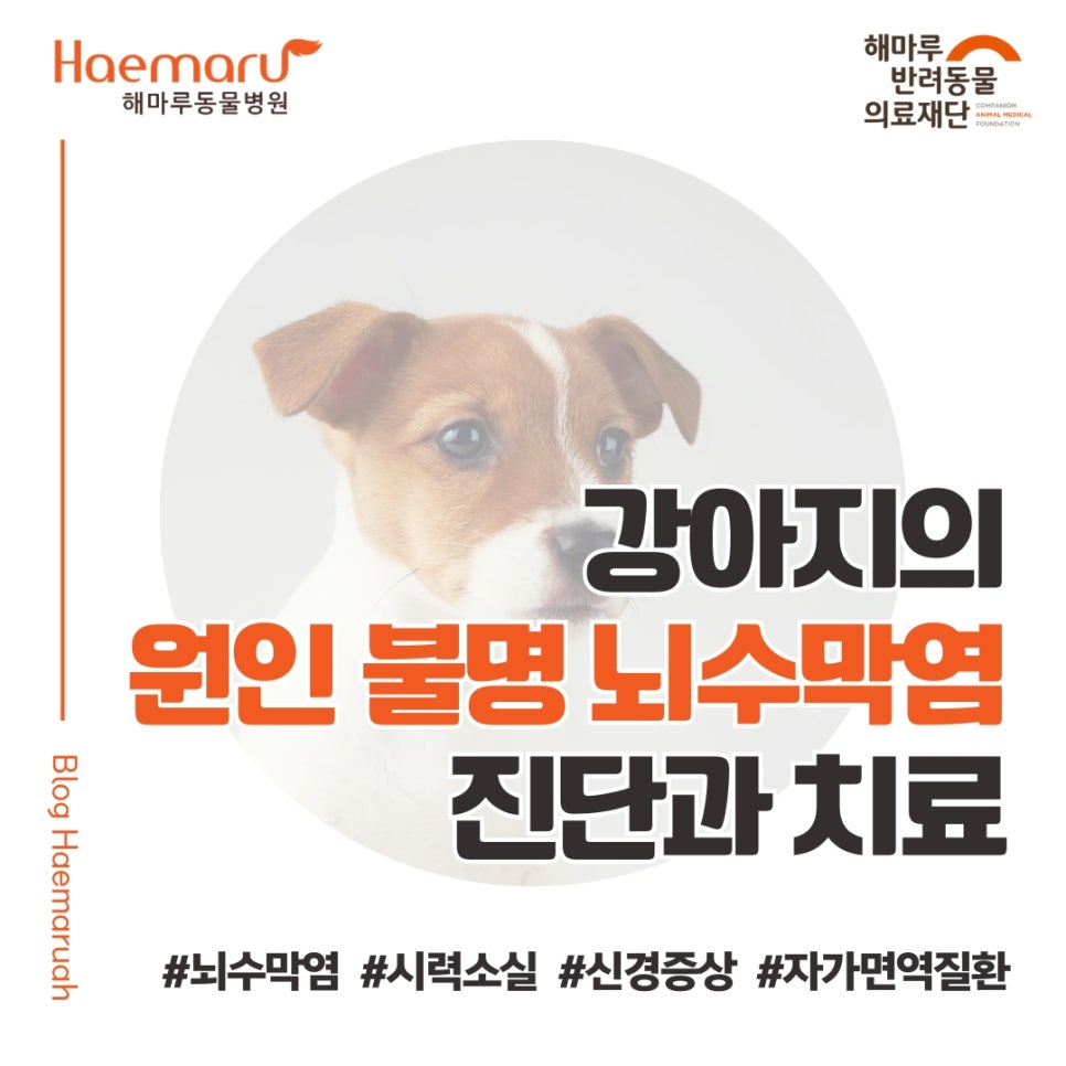진료케이스 이미지