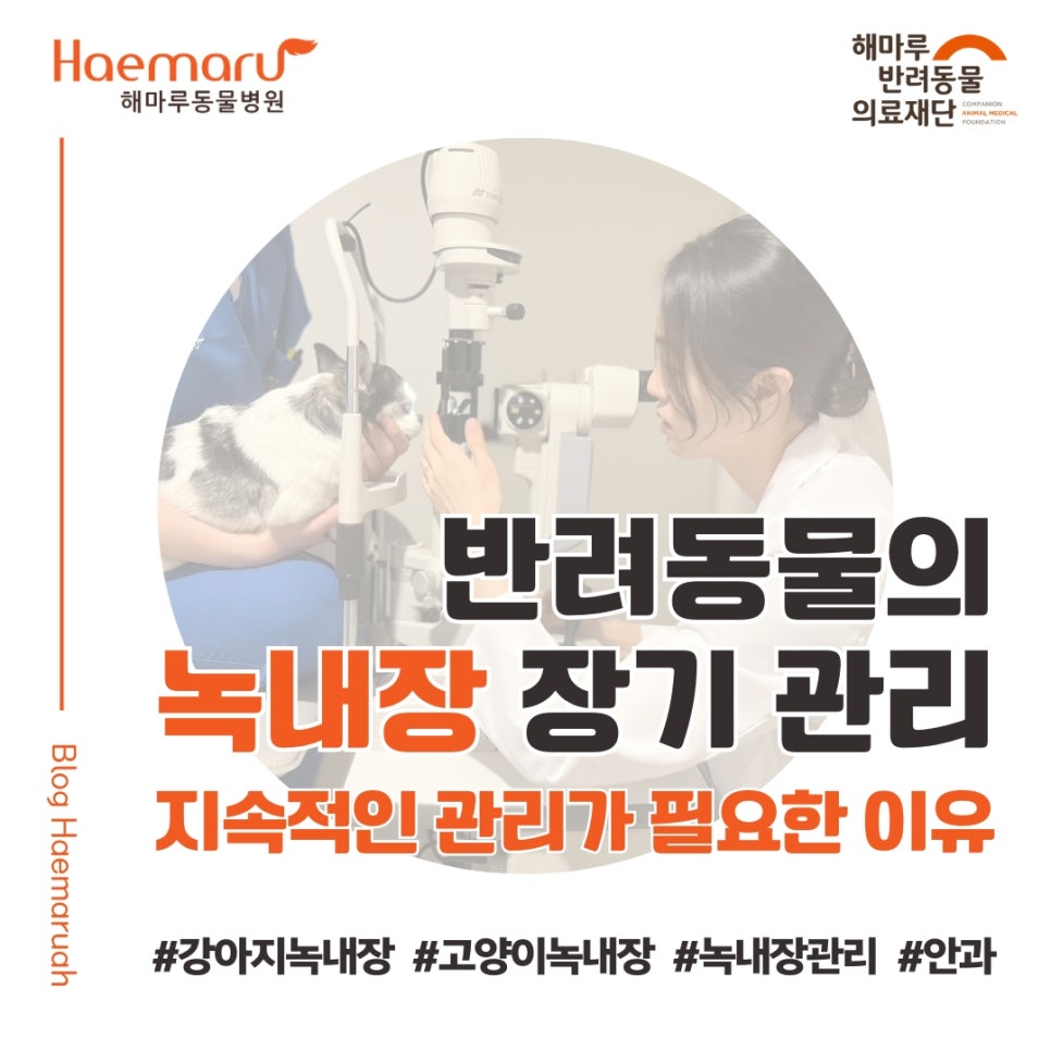 진료케이스 이미지