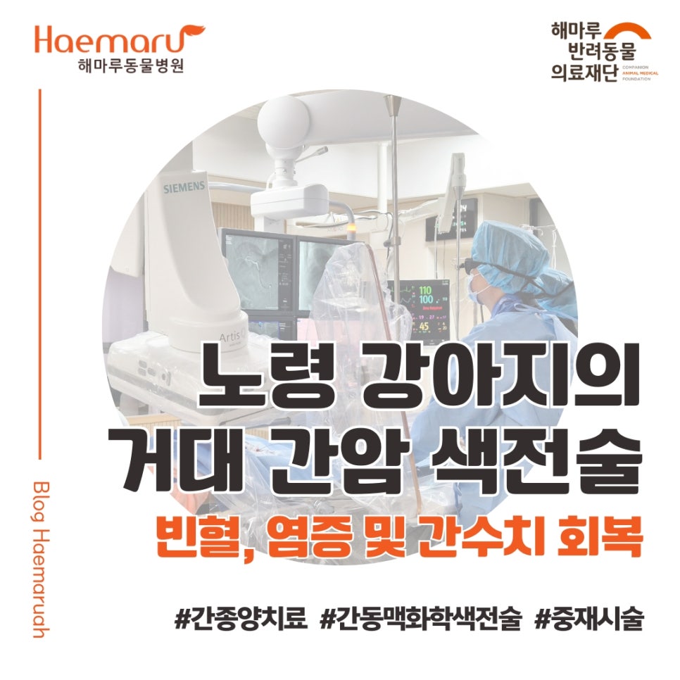 진료케이스 이미지