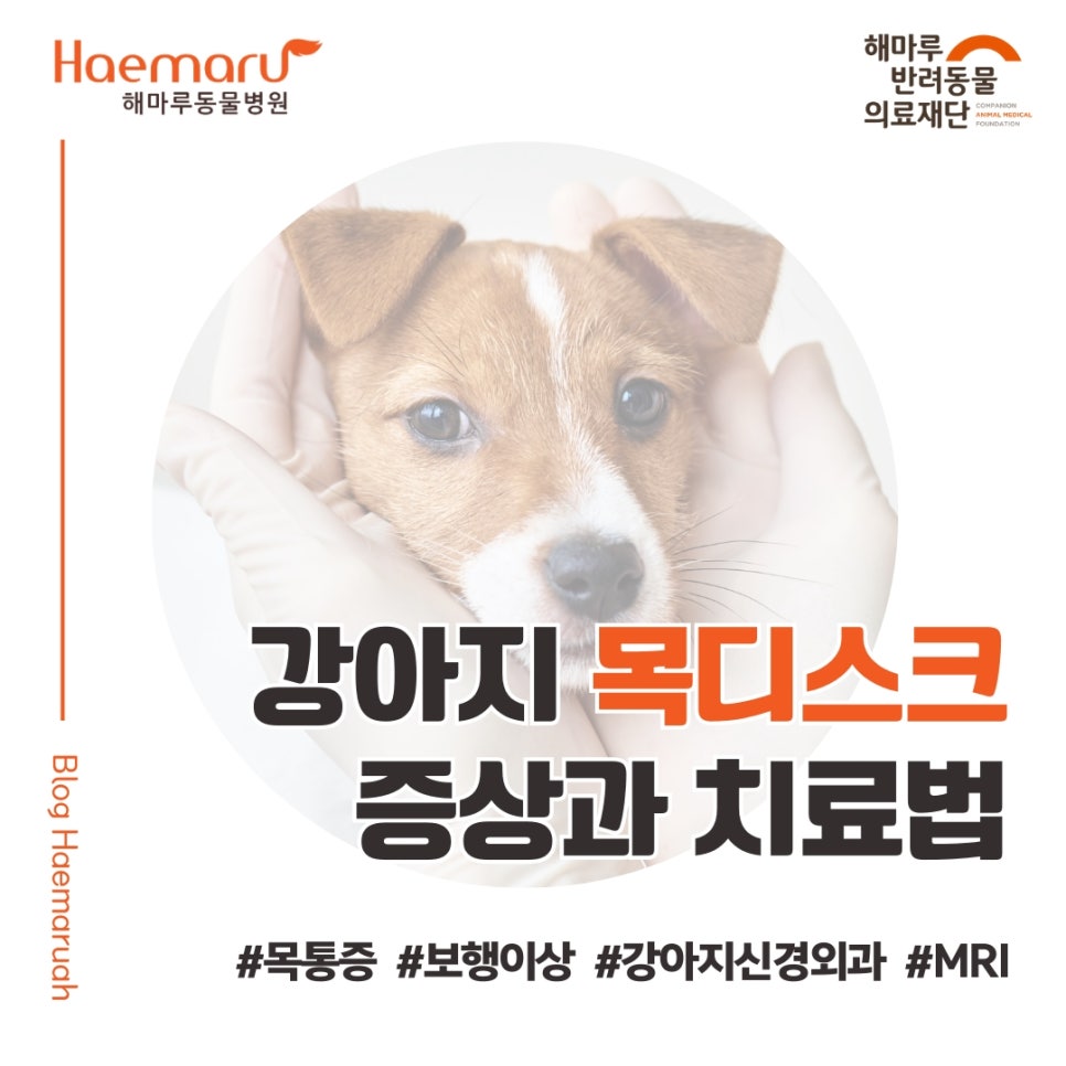 진료케이스 이미지