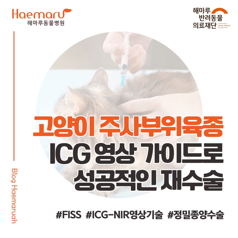 진료케이스 이미지