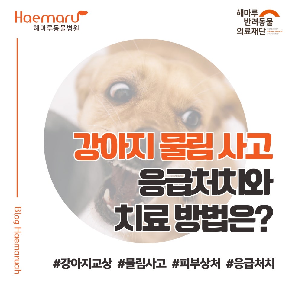 진료케이스 이미지