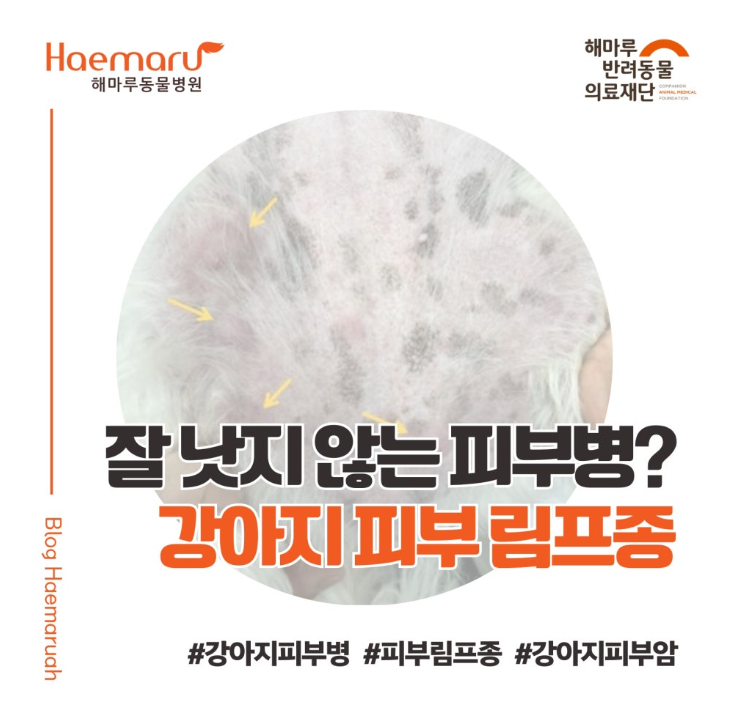 진료케이스 이미지