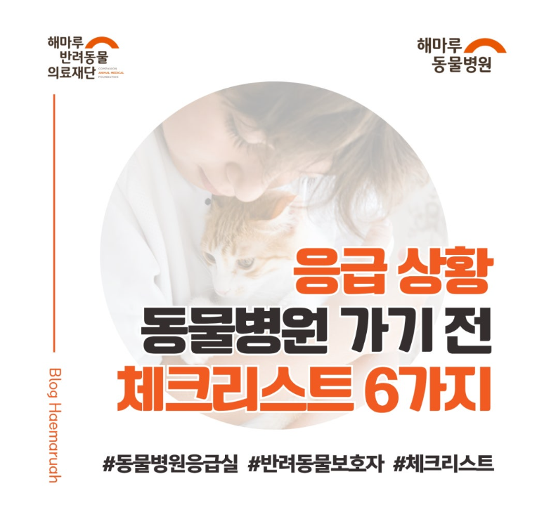진료케이스 이미지