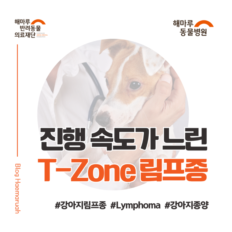 진료케이스 이미지